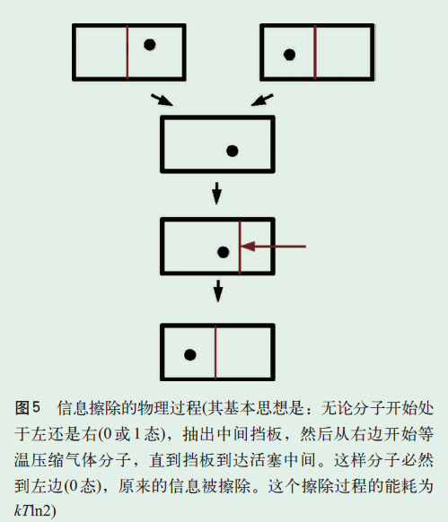 image-20191205233348397