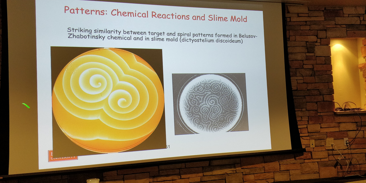 image-20191101134133726