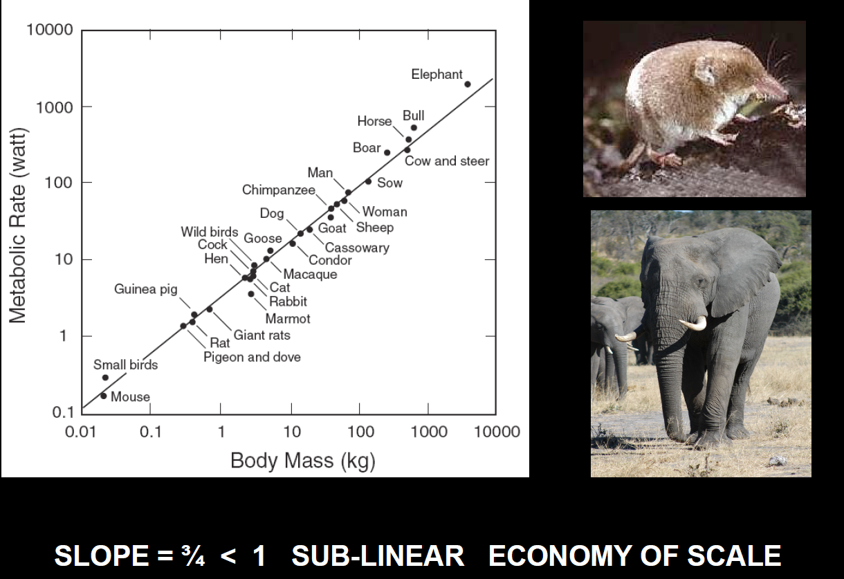 image-20191101141330787