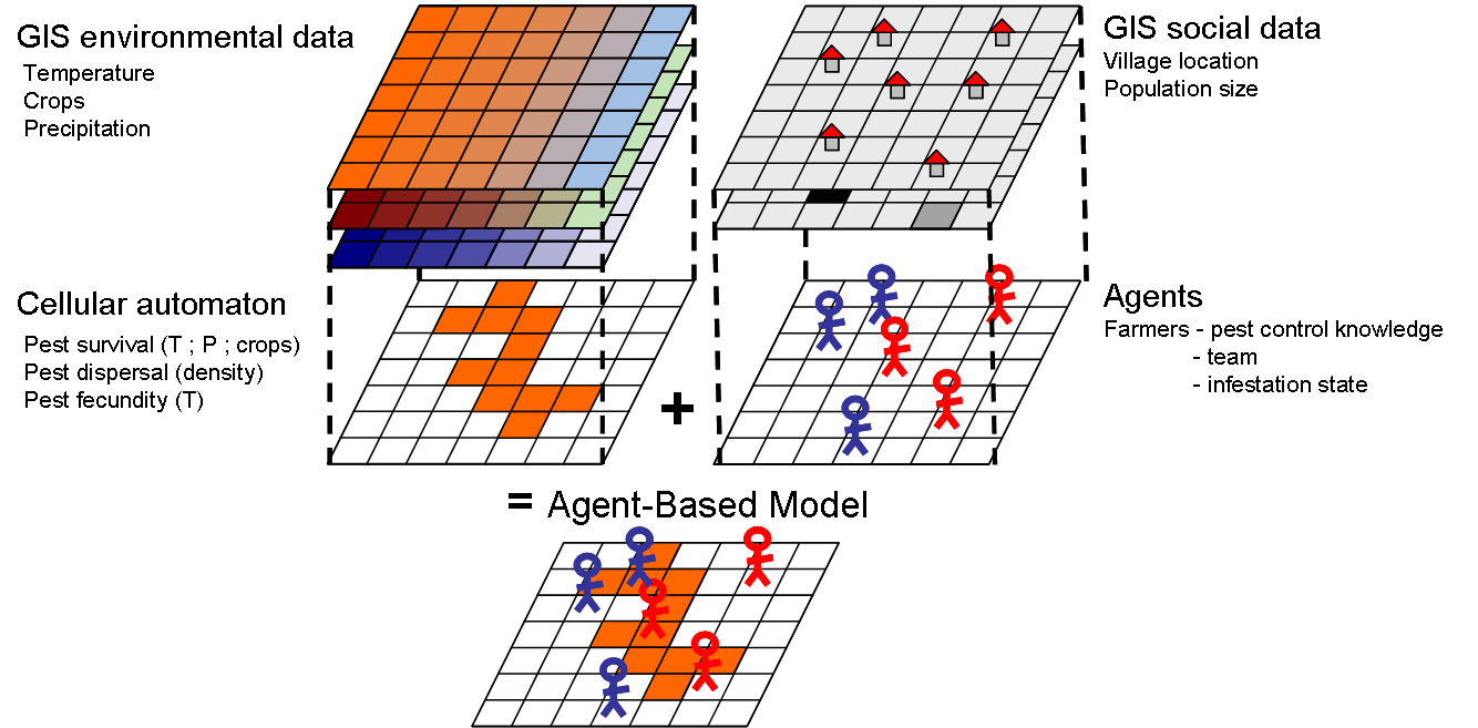 基于智能体出仿真